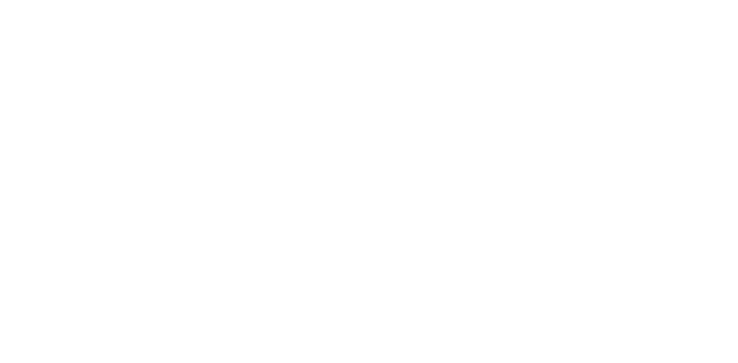 HP Partner Excellence Award 2025